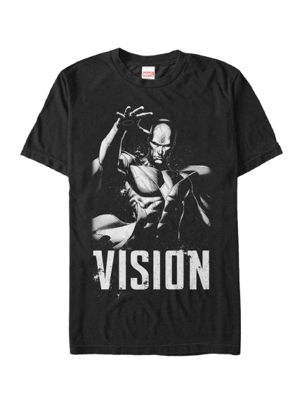 Vision